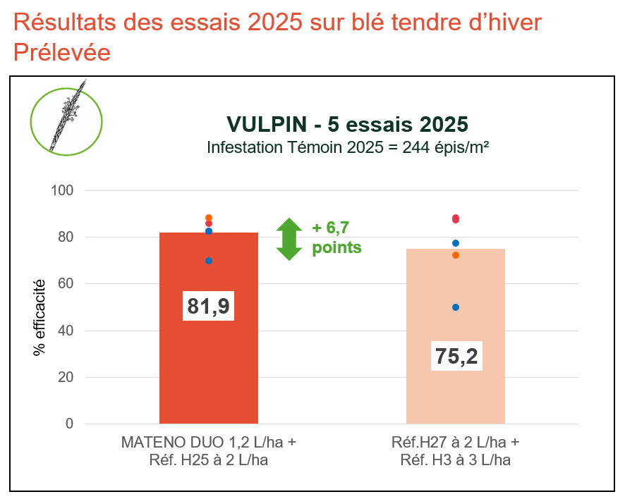MD essais25 vulpin2-desherbage-en-prelevee-du-ble-tendre-dhiver-avantage-aux-progammes-avec-mateno-duo Rich_Text_Editor.png